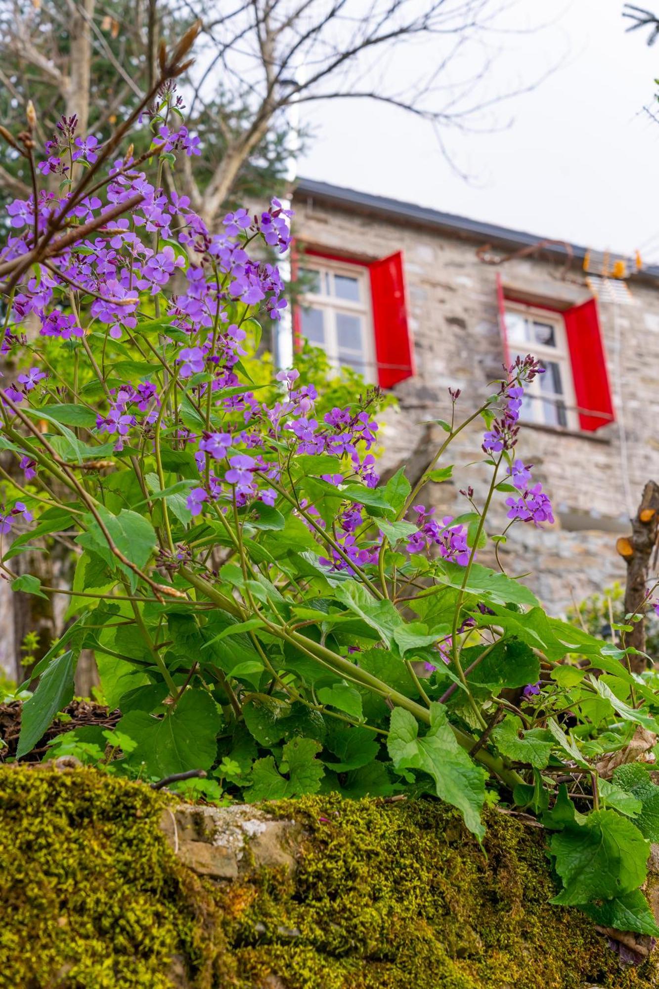 Shamrock Elati Retreats Elati (Ioannina) Exterior foto